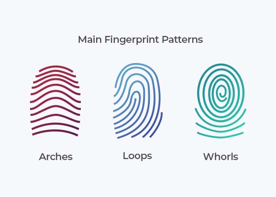 Suprema Fingerprints